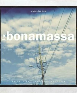 A New Day Now (Vinyl 12" Album) - Joe Bonamassa