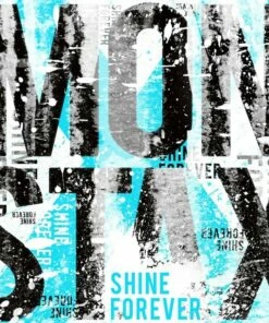 Shine Forever (CD Album) - Monsta X