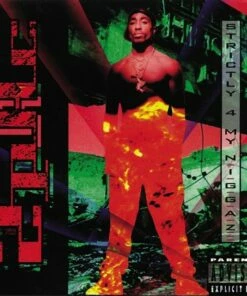 Strictly 4 My N.I.G.G.A.Z. (Vinyl 12" Album) - 2Pac