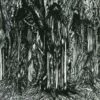 Black One (CD Album) - Sunn O)))