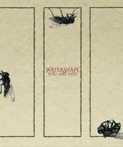 You Are Not (CD Album) - Watershape