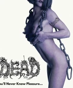 You'll Never Know Pleasure (CD Album) - Dead