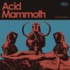 Acid Mammoth (Vinyl 12" Album) - Acid Mammoth