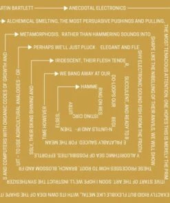 Anecdotal Electronics: Live Experiments & Other Recordings (Vinyl 12" Album) - Martin Bartlett