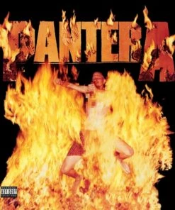 Reinventing the Steel (Vinyl 12" Album) - Pantera