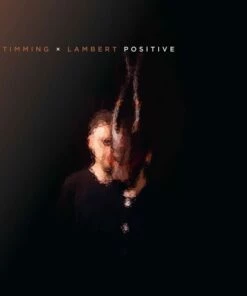 Positive (Vinyl 12" Album) - Stimming x Lambert