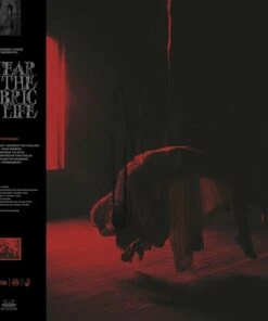 A Tear in the Fabric of Life (12" Vinyl EP) - Knocked Loose