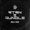 RTRN II JUNGLE (Vinyl 12" Album) - Chase & Status -usa Music Sales 2022 0e8d6680 f030 4fb9 a2e7 00f713105089