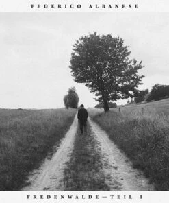 Before and Now Seems Infinite (Vinyl 12" Album) - Federico Albanese