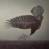 The Fall of Hearts (CD Album) - Katatonia 1 The Fall of Hearts (CD Album) - Katatonia -usa Music Sales 2022 11287882 5c0e 4dc6 98e3 4c4a52e586c9