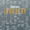 Industry (Vinyl 12" Album) 1 Industry (Vinyl 12" Album) -usa Music Sales 2022 17575248 e741 43e4 8d2e 82f18e32d95b