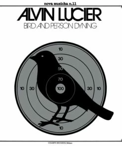 Bird and Person Dyning (Vinyl 12" Album) - Alvin Lucier
