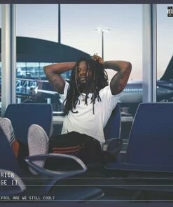 If I Fail Are We Still Cool? (Vinyl 12" Album) - Patrick Paige II