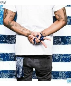 2 Tha Left (Vinyl 12" Album) - G Perico