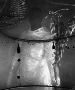 Preservation Rituals (CD Album) - Vile Creature