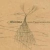 Anna Thorvaldsdottir: Rhizoma (CD Album) - Anna Thorvaldsdottir 2 Anna Thorvaldsdottir: Rhizoma (CD Album) - Anna Thorvaldsdottir -usa Music Sales 2022 3d0590d1 4d4b 4494 be18 dacc9b555a48
