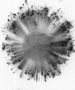 Obverse (Vinyl 12" Album) - Trentemoller