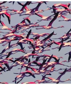 Gore (Vinyl 12" Album) - Deftones