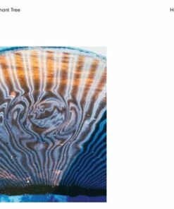 Habits (Vinyl 12" Album) - Elephant Tree