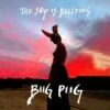 The Sky Is Bleeding (Vinyl 12" Album) - Biig Piig -usa Music Sales 2022 3ea3b090 db37 4194 aa2a 23aa2a19f9ef