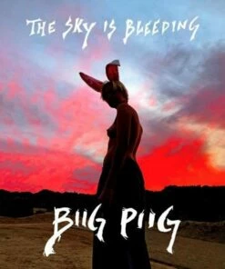 The Sky Is Bleeding (Vinyl 12" Album) - Biig Piig