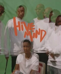 Hive Mind (Vinyl 12" Album) - The Internet