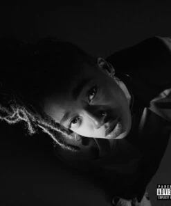 Grey Area (Vinyl 12" Album) - Little Simz