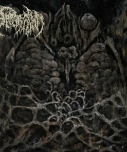 Feel (Vinyl 12" Album) - Apparition