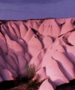 Amber (Vinyl 12" Album) - Autechre