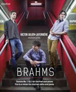 Brahms: Sonata No. 1 & 2 for Clarinet and Piano/... (CD Album)