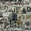 A Wonderful Life (Vinyl 12" Album) - Mushroomhead 2 A Wonderful Life (Vinyl 12" Album) - Mushroomhead -usa Music Sales 2022 47b0d3ee 7469 415f a0c6 b05aa7a6a3b0