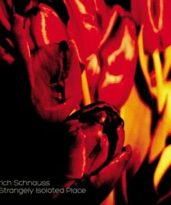 A Strangely Isolated Place (Vinyl 12" Album) - Ulrich Schnauss