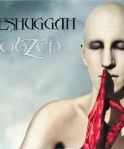 ObZen (CD Album) - Meshuggah