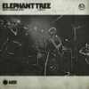 The Day of Doom Live (Vinyl 12" Album) - Elephant Tree