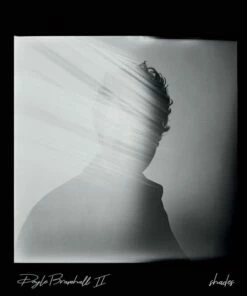 Shades (CD Album) - Doyle Bramhall II