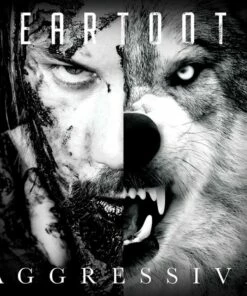 Aggressive (CD Album) - Beartooth