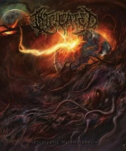 Apocalyptic Metamorphosis (CD Album) - Intricated