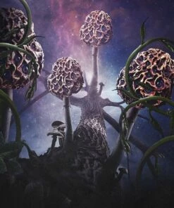 Hallucinogen (CD Album) - Blut Aus Nord