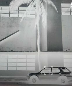 Karma & Desire (Vinyl 12" Album) - Actress