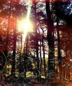 Cross Modulation - Bootleg Remixes (Vinyl 12" Album) - Viviankrist