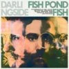 Fish Pond Fish (Vinyl 12" Album) - Darlingside 2 Fish Pond Fish (Vinyl 12" Album) - Darlingside -usa Music Sales 2022 645ee6b9 d486 4318 aee2 821ef2401885