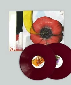 Ardour (Vinyl 12" Album) - Teebs