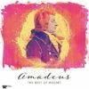 Amadeus: The Best of Mozart (Vinyl 12" Album) - Wolfgang Amadeus Mozart