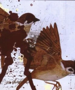 This Is What the Edge of Your Seat Was Made For (12" Vinyl EP) - Bring Me the Horizon