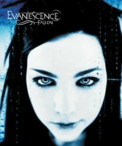 Fallen (Vinyl 12" Album) - Evanescence