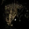 Two Hunters (Vinyl 12" Album) - Wolves in the Throne Room 2 Two Hunters (Vinyl 12" Album) - Wolves in the Throne Room -usa Music Sales 2022 6e9e1f6b ddd2 4bc5 b1b2 8b4351d2129f