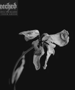 To Dull the Blades of Your Abuse (Vinyl 12" Album) - Leeched