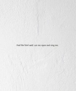 And the Bird Said: Cut Me Open and Sing Me (CD Album) - Prairie