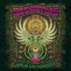 Live in San Francisco (CD Album) - John McLaughlin & The 4th Dimension/Jimmy Herring -usa Music Sales 2022 7dd03bf8 99e5 4fb2 ad26 a96150e29ad6