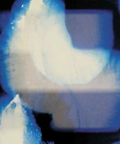 Homes (Vinyl 12" Album) - Shida Shahabi